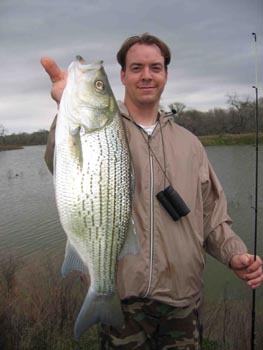  JARWSTRIPERBASS
