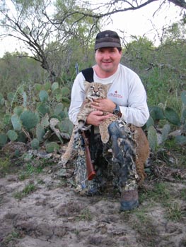 BOBCAT