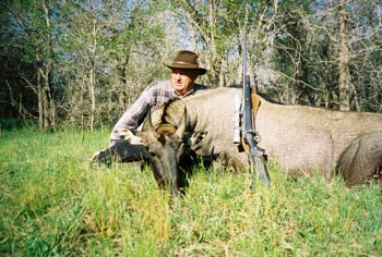 Customerlarge Nilgai Bull