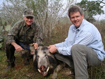 Trophy boar1