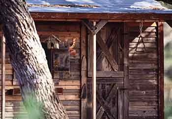 cabin