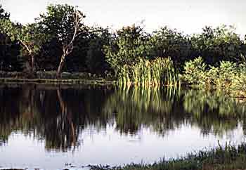 lake